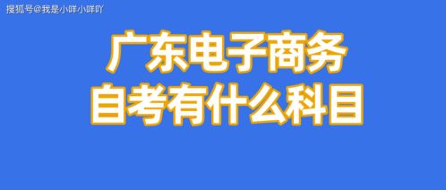 自考電子商務(wù)專業(yè) 解鎖商務(wù)信息咨詢的核心能力