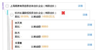 上海順漾商務信息咨詢合伙企業（有限合伙）的專業服務與市場價值探析