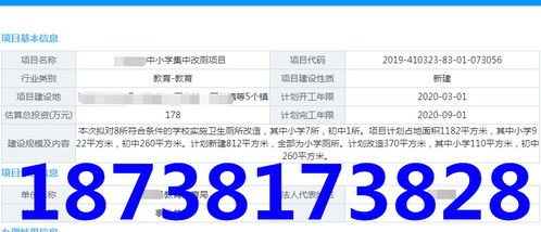 北京商務信息咨詢服務 助力企業在首都市場穩健發展
