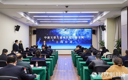 重慶市中新示范項目管理局新年新作為 繪織國際服務網 撬動合作新牛機